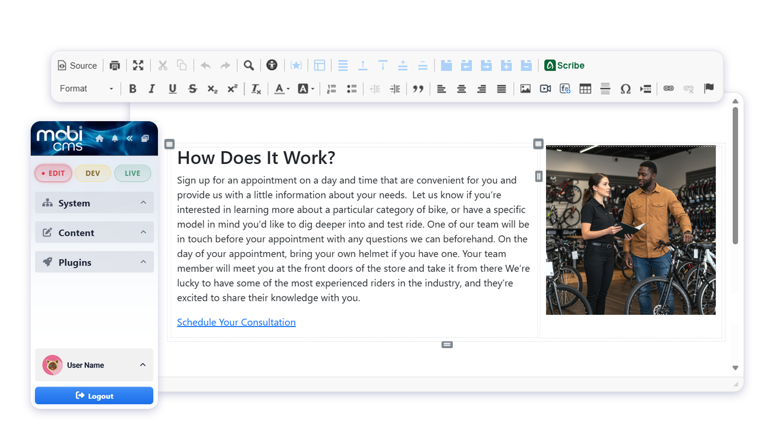 Mobi content editor used in the Lifecycle site