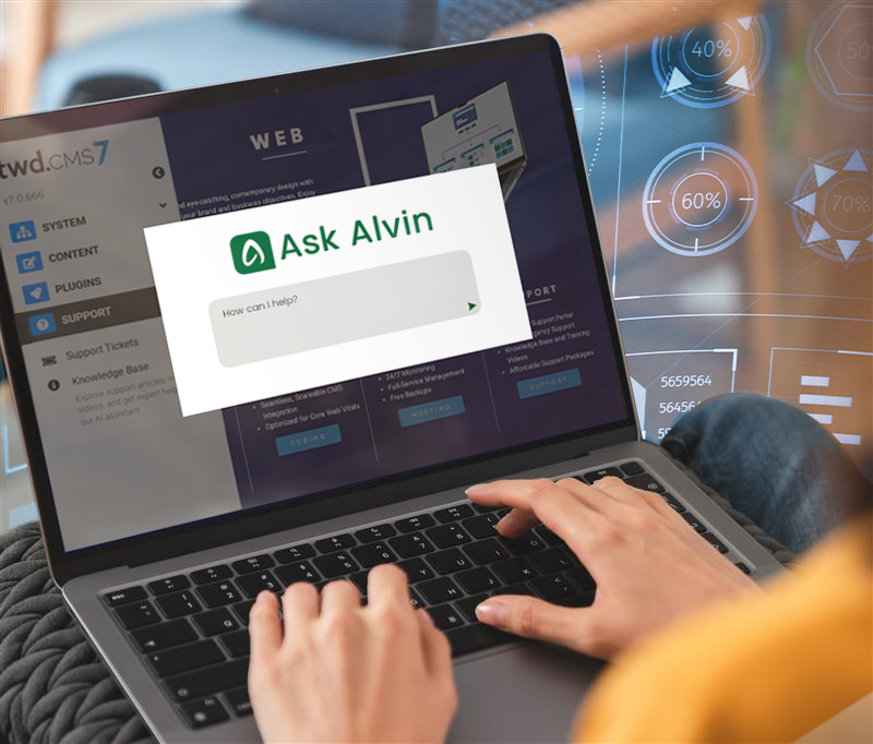 Person at a laptop using Ask Alvin